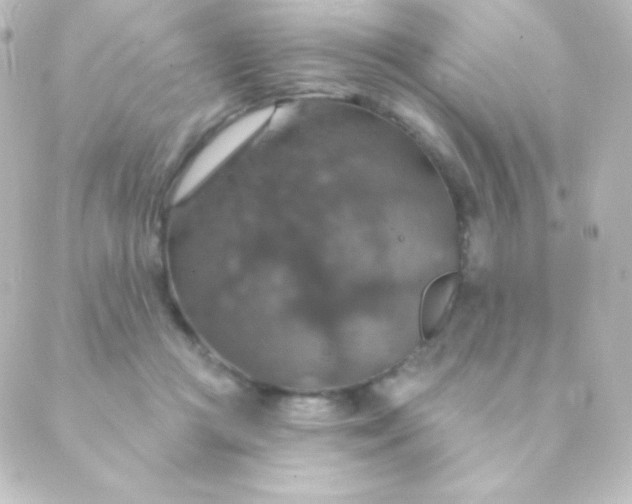 X0000088850361200706221706