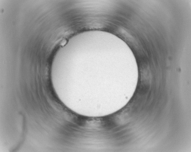 X0000088850362200706221706