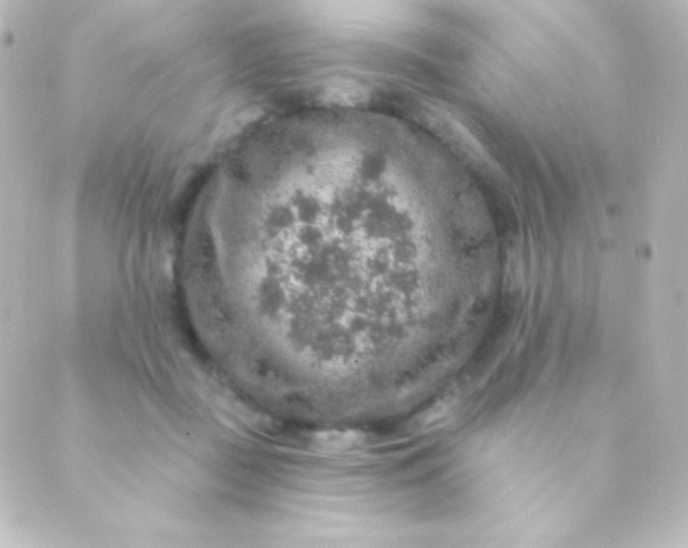 X0000088850363200706221706