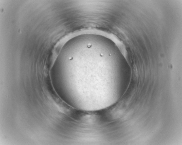 X0000088850364200706221706