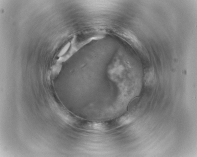 X0000088850365200706221706