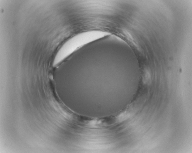 X0000088850366200706221706