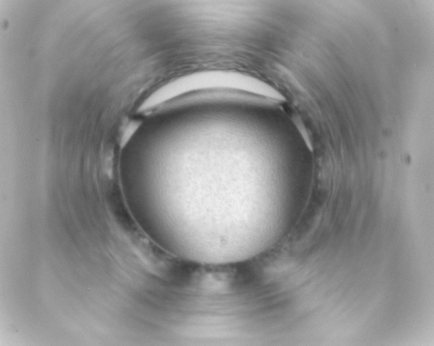 X0000088850368200706221706