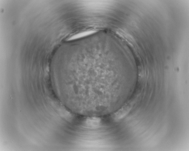 X0000088850369200706221706