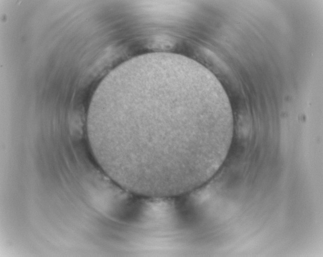 X0000088850370200706221706