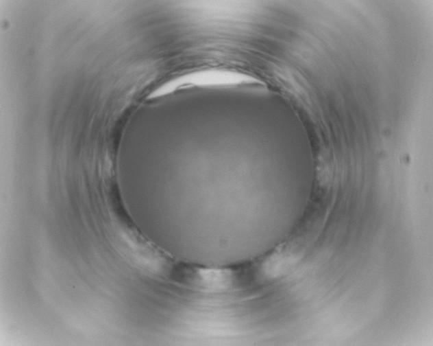 X0000088850371200706221706