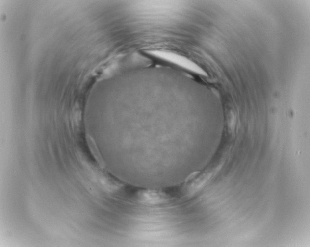 X0000088850372200706221706