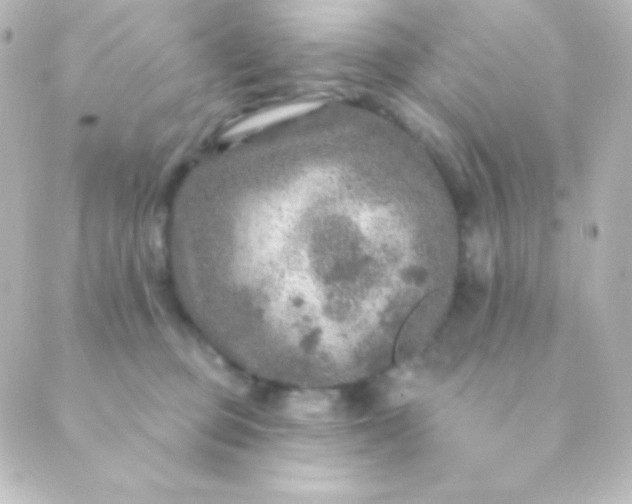 X0000088850373200706221706