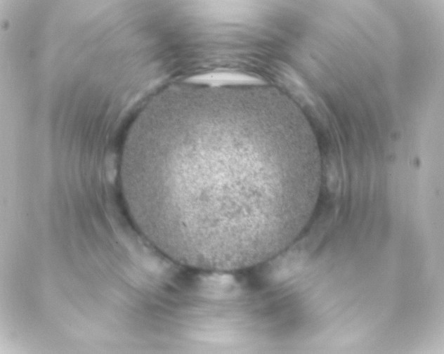 X0000088850374200706221706