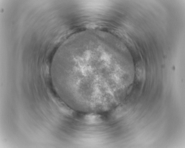 X0000088850375200706221706