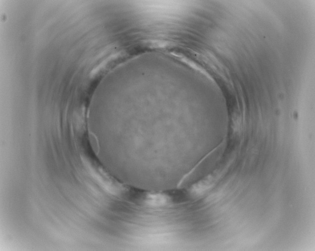 X0000088850376200706221706