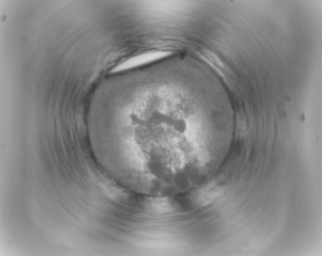 X0000088850377200706221706