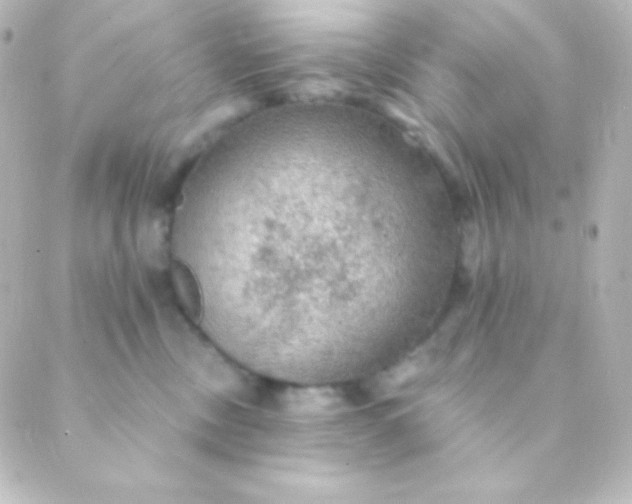 X0000088850378200706221706