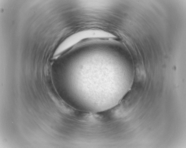 X0000088850379200706221706