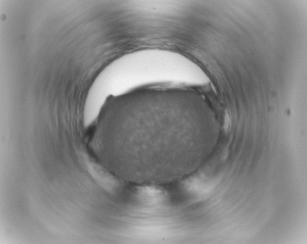 X0000088850380200706221706