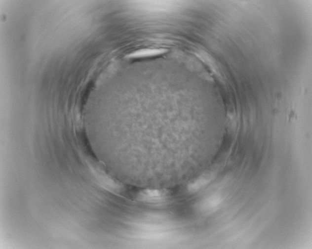 X0000088850381200706221706