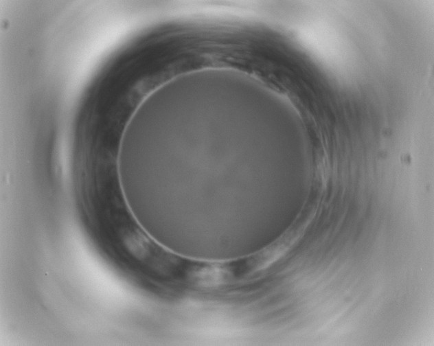 X0000088850383200706221706