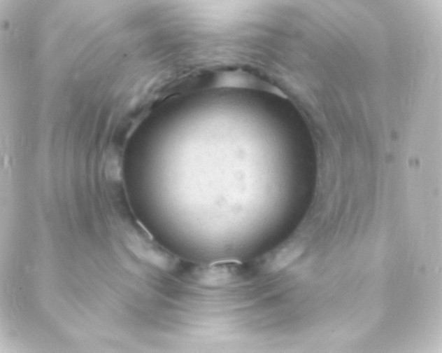 X0000088850384200706221706