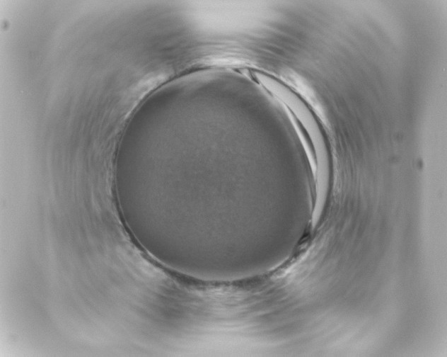 X0000088850385200706221705