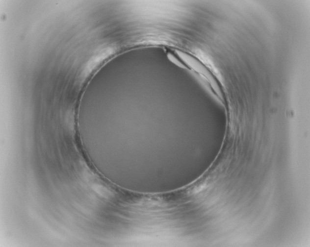 X0000088850386200706221705