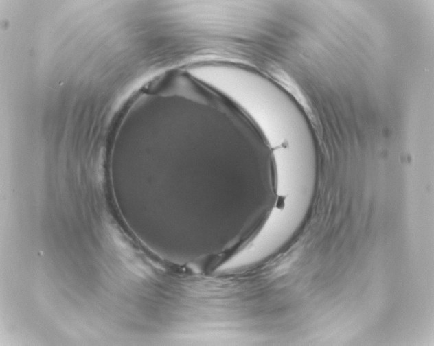 X0000088850387200706221705