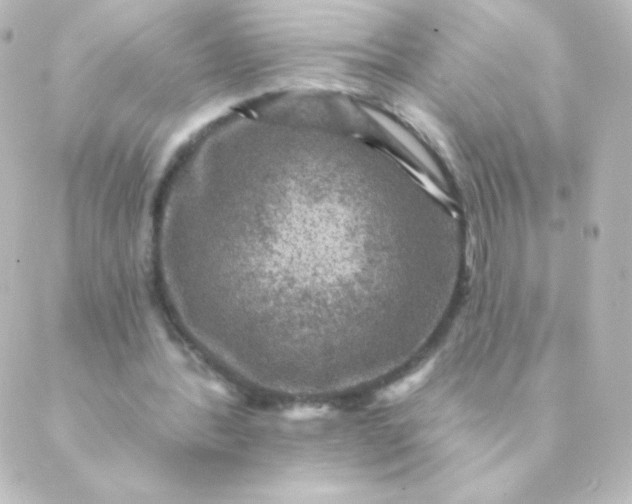 X0000088850388200706221705