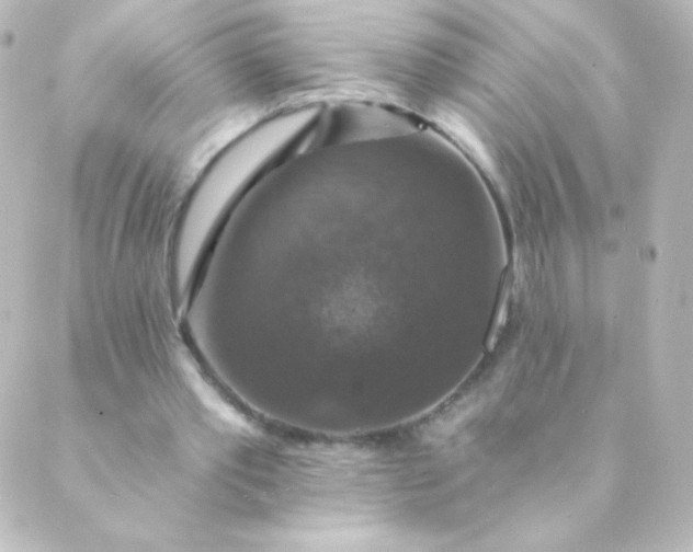 X0000088850389200706221705