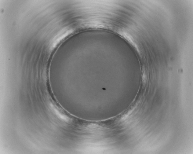 X0000088850390200706221705