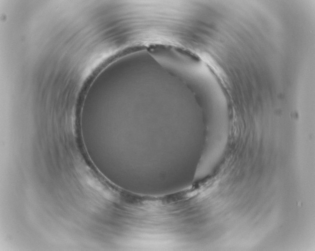 X0000088850391200706221705