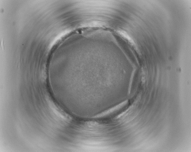 X0000088850392200706221705