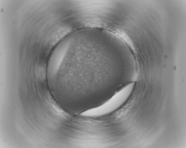 X0000088850393200706221705