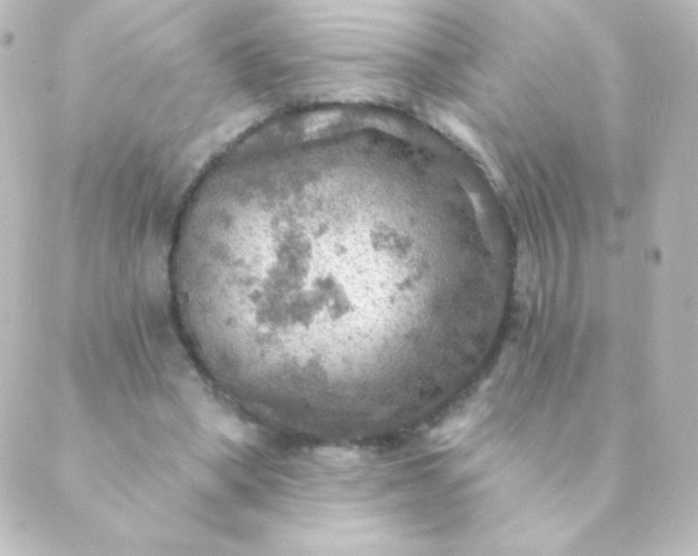 X0000088850394200706221705