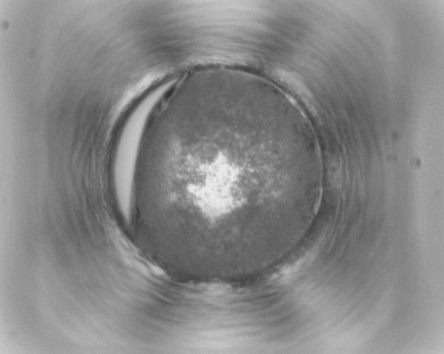 X0000088850395200706221705