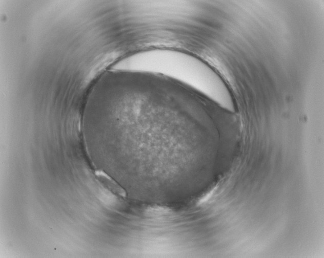 X0000088850397200706221705