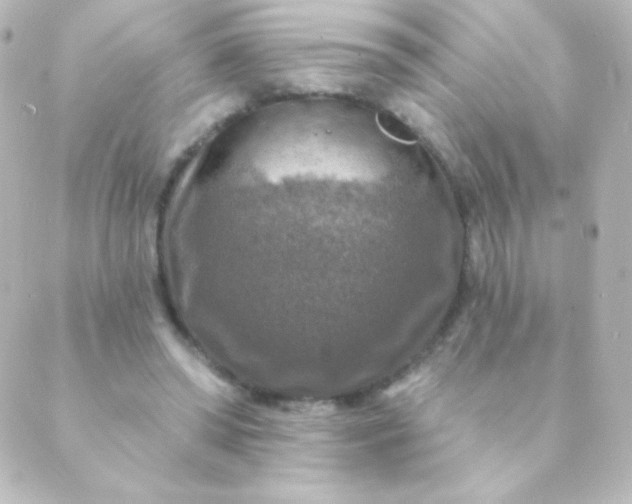 X0000088850398200706221705