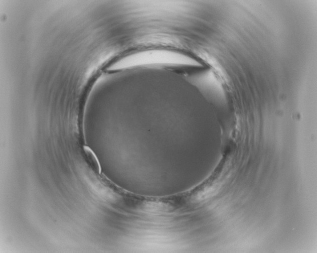 X0000088850399200706221705