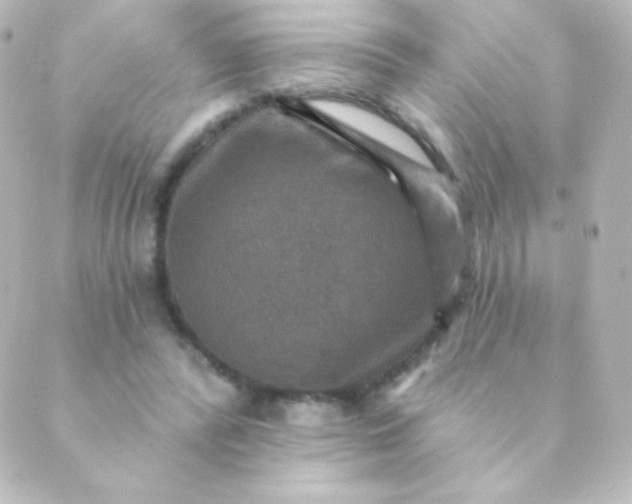 X0000088850400200706221705