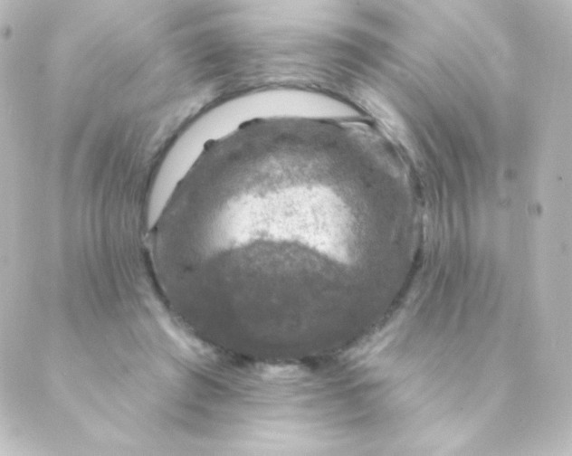 X0000088850401200706221705