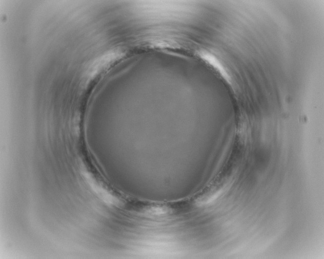 X0000088850402200706221705