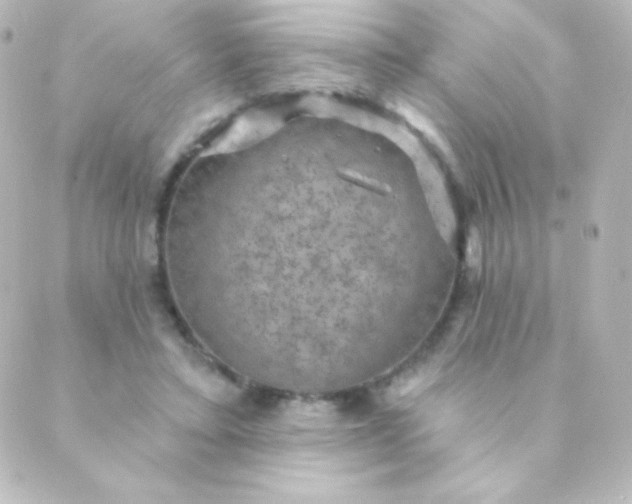 X0000088850403200706221705