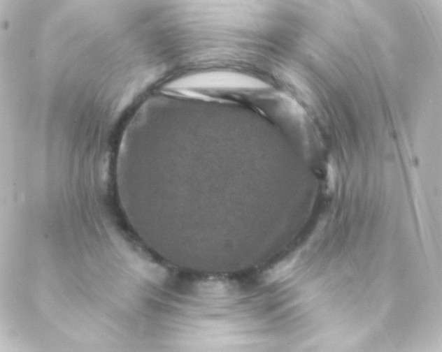 X0000088850404200706221705