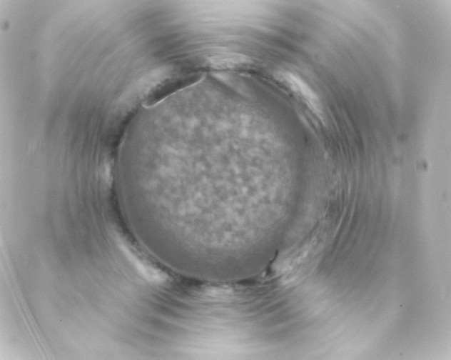 X0000088850405200706221705