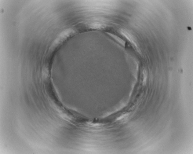 X0000088850407200706221705