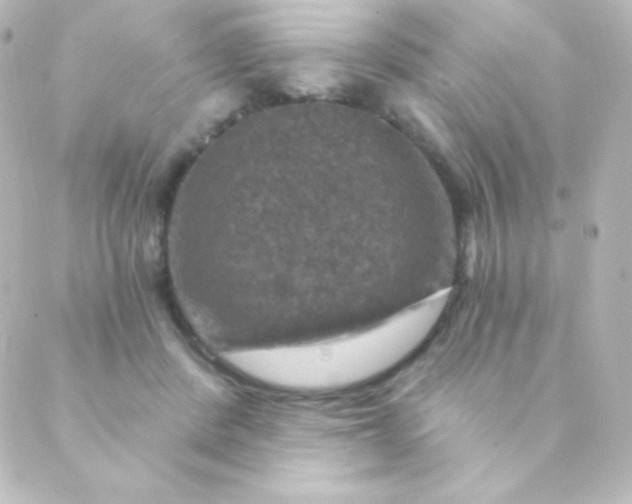 X0000088850408200706221705