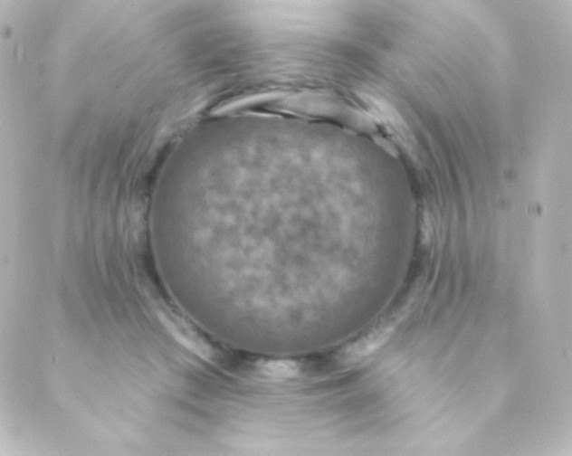 X0000088850409200706221705