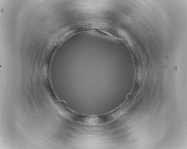 X0000088850410200706221705