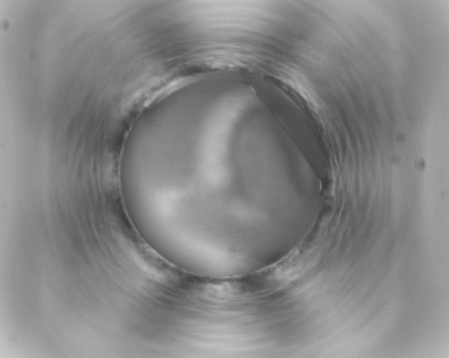 X0000088850411200706221705