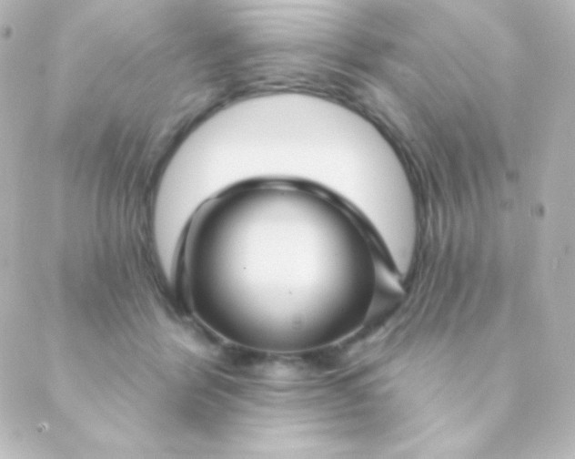 X0000088850412200706221705