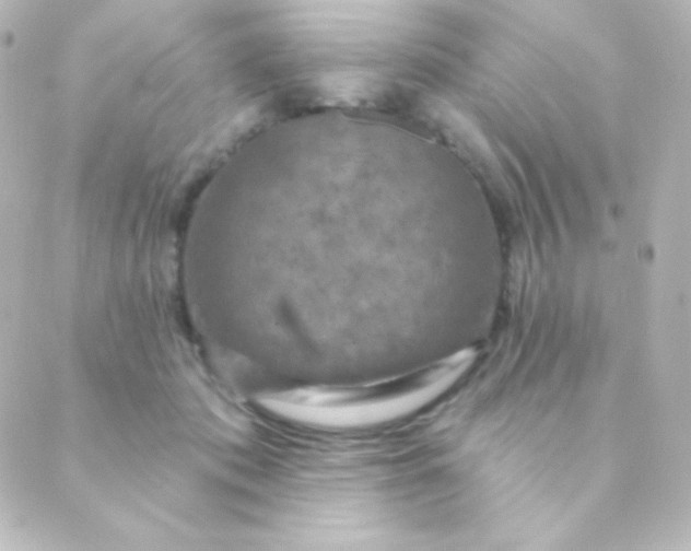 X0000088850413200706221705