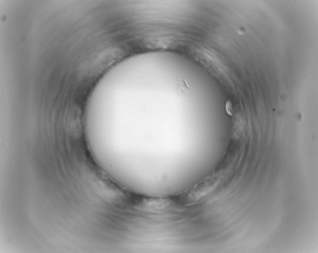 X0000088850414200706221705